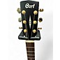 Used Cort SFX-ME OP Maple Acoustic Electric Guitar