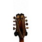 Used Mitchell AM100Vs 2 Color Sunburst Mandolin