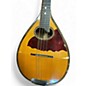 Vintage 1910s Larson Brothers FLATBACK MANDOLIN Natural Mandolin thumbnail