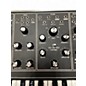 Used Moog MATRIARCH LIMITED EDITION BLACK Synthesizer