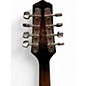 Used Ibanez M510E 2 Color Sunburst Mandolin