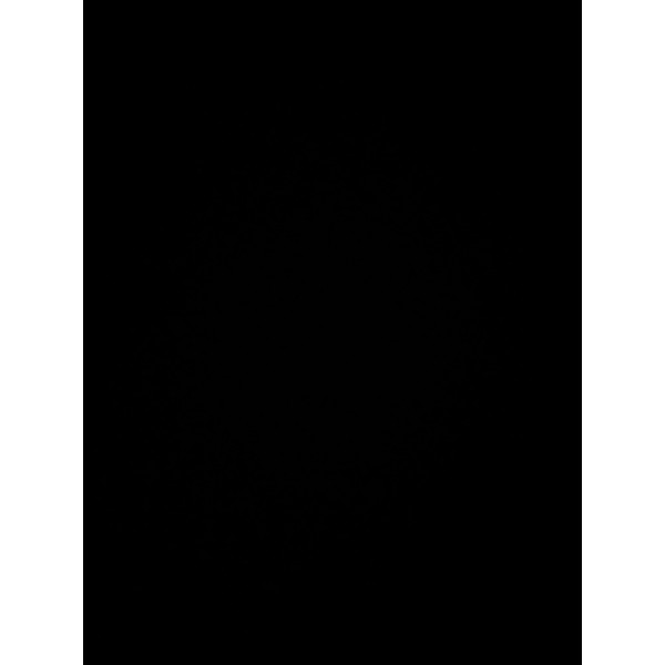 Used TC Electronic Ditto Pedal