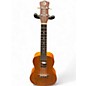 Used Luna Concert Tattoo Mahogany Ukulele thumbnail