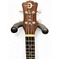 Used Luna Concert Tattoo Mahogany Ukulele