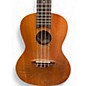 Used Luna Concert Tattoo Mahogany Ukulele