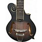 Used Gold Tone F6 Natural Mandolin