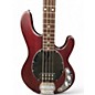 Used Sterling by Music Man Stingray Sub 4 Walnut Electric Bass Guitar
