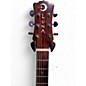 Used Luna Gypsy Spalt Acoustic Electric Spalted Acoustic Electric Guitar