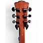 Used Luna Gypsy Spalt Acoustic Electric Spalted Acoustic Electric Guitar