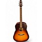 Used Seagull ENTOURAGE AUTUMN BURST Acoustic Guitar thumbnail