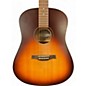 Used Seagull ENTOURAGE AUTUMN BURST Acoustic Guitar