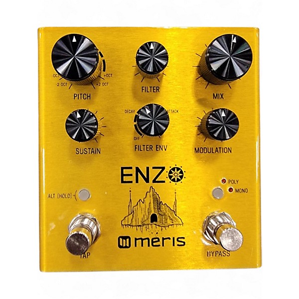 Used Meris Enzo Effect Pedal