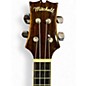 Used Mitchell MU70 Concert Natural Ukulele