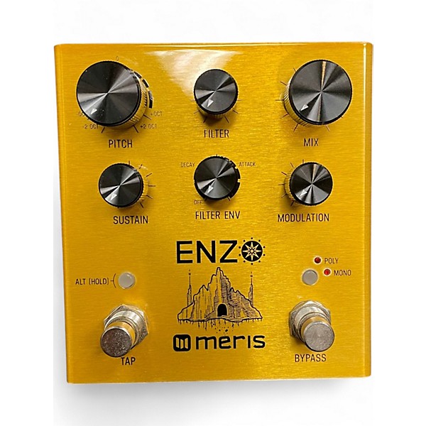 Used Meris ENZO Effect Pedal