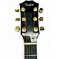Used Taylor T5Z Custom Sunburst Acoustic Electric Guitar
