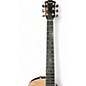 Used Taylor T3 Maple Hollow Body Electric Guitar
