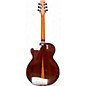 Used Babicz ID-ARW-06 Natural Acoustic Electric Guitar