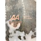 Used SABIAN 22in AA Apollo Cymbal