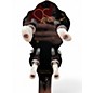 Used Fender Robert Schmidt Signature Plectrum WALNUT STAIN Banjo