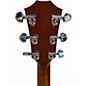 Used Taylor 310-m 25th anniversary Mahogany Acoustic Electric Guitar