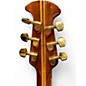 Vintage 1981 Ovation 1657 Anniversary Natural Acoustic Electric Guitar