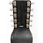 Vintage 1957 Akire E Harp 10-String Black Lap Steel