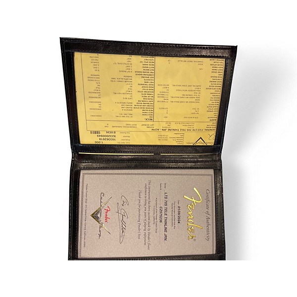 Used Fender CUSTOM SHOP THINLINE DLX Charcoal Hollow Body Electric Guitar