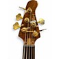 Used Cort Jeff Berlin Series Rithimic  V Walnut Electric Bass Guitar
