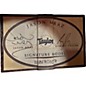 Used Taylor JMSM Jason Mraz Signature Natural Classical Acoustic Electric Guitar