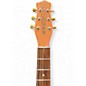 Used Danelectro The Stock '59 Copper Solid Body Electric Guitar