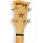 Used Deering Goodtime 2 left handed Natural Banjo