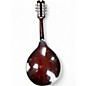 Used Dean Playmate Mandolin Brown Sunburst Mandolin