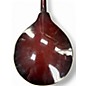 Used Dean Playmate Mandolin Brown Sunburst Mandolin