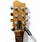 Used Tacoma P1 Natural Acoustic Guitar