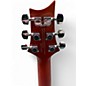 Used PRS SE Custom 24 ZEBRAWOOD Solid Body Electric Guitar