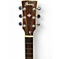 Used Ibanez AW300ECE Natural Acoustic Electric Guitar