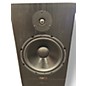 Used Tyler Acoustic HALO 3 MONITOR PAIR Unpowered Monitor