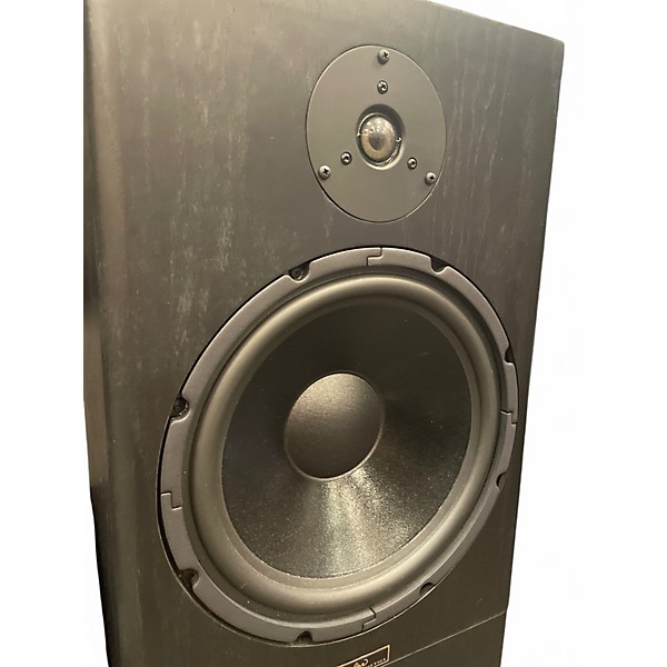 Used Tyler Acoustic HALO 3 MONITOR PAIR Unpowered Monitor