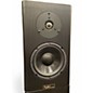 Used Tyler Acoustic HALO 4 MONITOR PAIR Unpowered Monitor