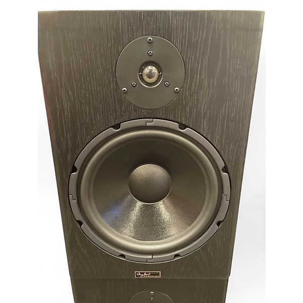Used Tyler Acoustic HALOR 3 MONITOR PAIR Unpowered Monitor