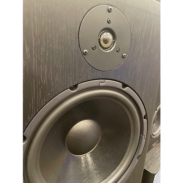 Used Tyler Acoustic HALOR 3 MONITOR PAIR Unpowered Monitor