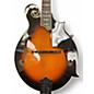 Used Gold Tone GM-35 2 Color Sunburst Mandolin