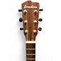 Used Breedlove SIGNATURE CONCERT TINA COPPER E SHADOW BURST Acoustic Electric Guitar
