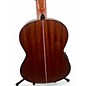 Used Sala Musik DGP203 Natural Classical Acoustic Electric Guitar