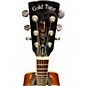 Used Gold Tone Paul Beard Signature Series Tobacco Sunburst Resonator Guitar