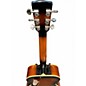 Used Gold Tone Paul Beard Signature Series Tobacco Sunburst Resonator Guitar