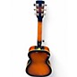 Used Gold Tone Paul Beard Signature Series Tobacco Sunburst Resonator Guitar