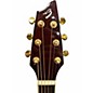 Used Breedlove ad25 sr plus natural Acoustic Guitar