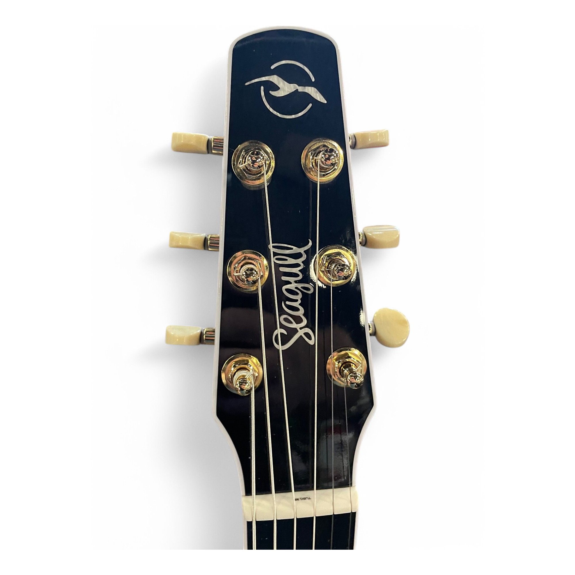 【保存版】 CW CH Mosaic Artist Seagull Used Seagull Used GT BOURBON EQ 外装品