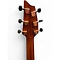 Used Breedlove Pursuit Concert Exotic Tiger Eye Acoustic Electric Guitar